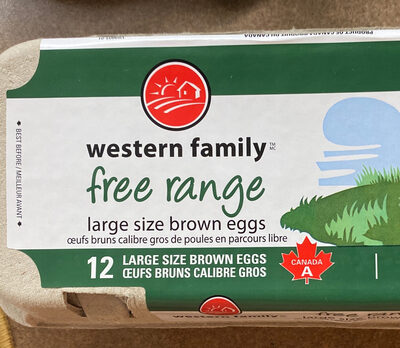 12 Large Free-range Eggs, Brown.