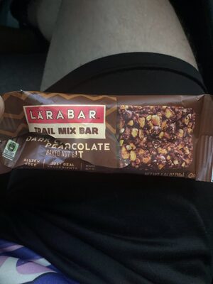 Trail Mix Bar Dark Chocolate Peanut Baked Nut Bar