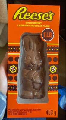 Solid Bunny