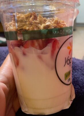 Yogurt