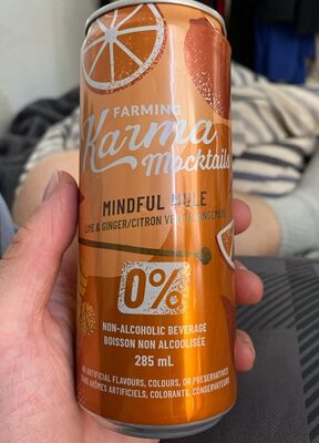 Mindful Mule