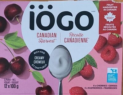 Yogourt