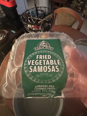 Fried Vegetable Samosas