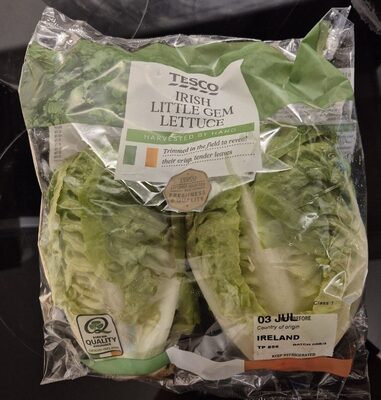 Little Gem Lettuce