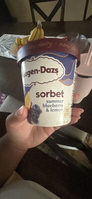 Sorbet Summer Blueberry & Lemon