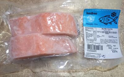 Salmon