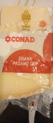 Grana Padano Dop