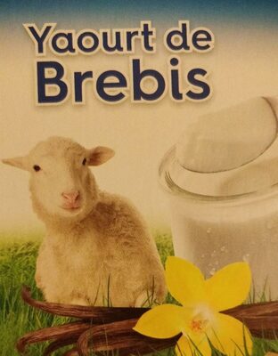 Yaourt De Brebis