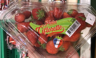 Fraise Ciflorette