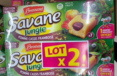 Savane Jungle