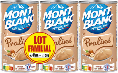 Mont Blanc Crème Dessert Boîte Praliné 3x570g Lot Familial