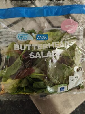 Butter Head Salad