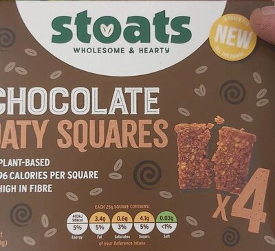 Chocolate Oaty Squares