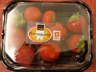 Fraise Primagusto