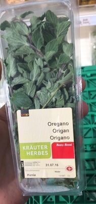 Origan