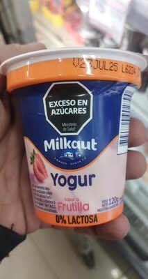 Yogur Frutilla Deslactosado