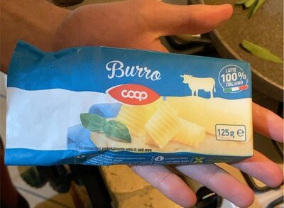 Burro
