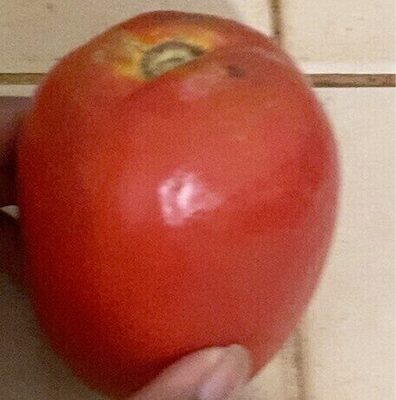 Tomate